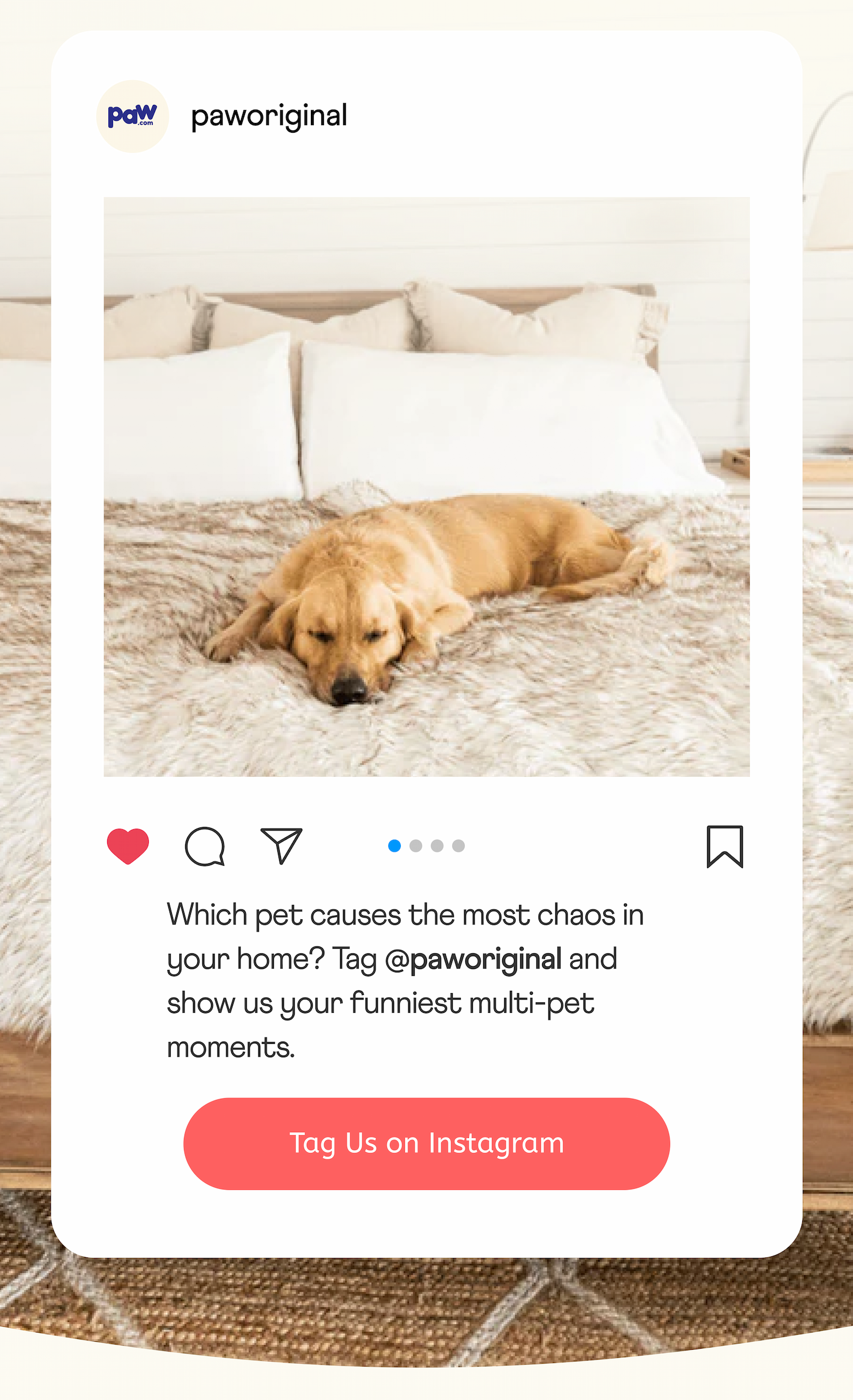 Which pet causes the most chaos in your home? Tag @paw.com and show us your funniest multi-pet moments.