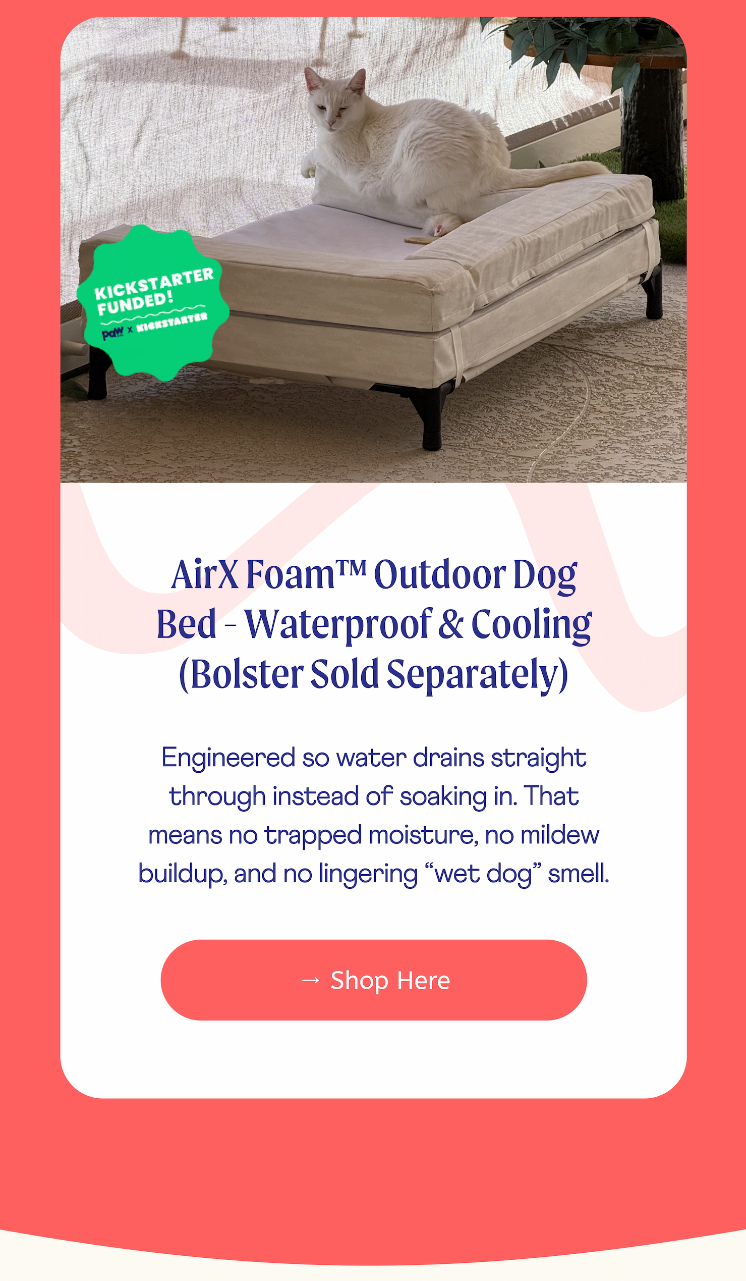 AirX Foam™ Outdoor Dog Bed - Waterproof & Cooling (Bolster Sold Separately)  | Engineered so water drains straight through instead of soaking in. That means no trapped moisture, no mildew buildup, and no lingering “wet dog” smell. | → Shop Here