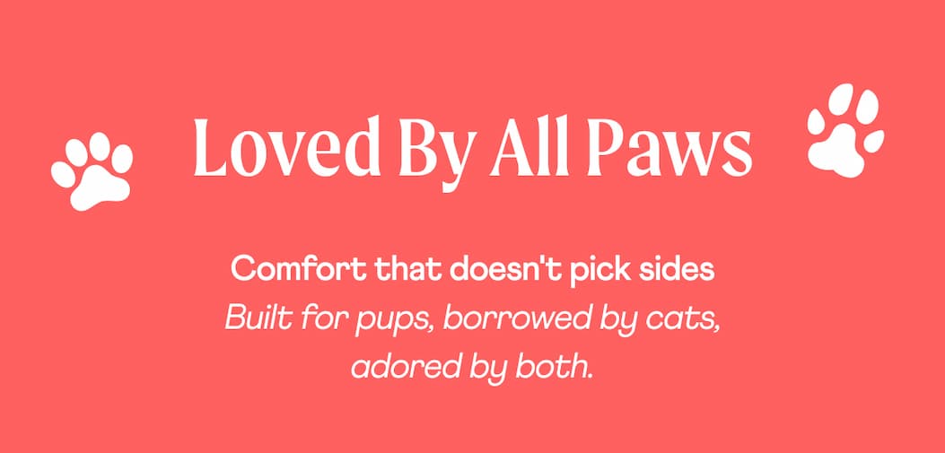 Loved By All Paws | Comfort that doesn't pick sides Built for pups, borrowed by cats, adored by both.