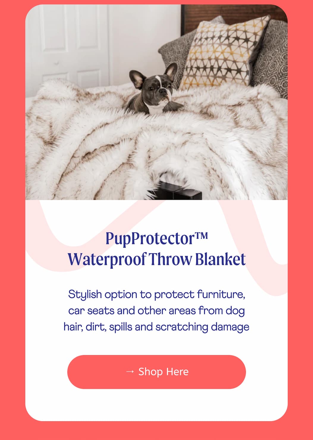 PupProtector™ Waterproof Throw Blanket  | Stylish option to protect furniture, car seats and other areas from dog hair, dirt, spills and scratching damage |  → Shop Here
