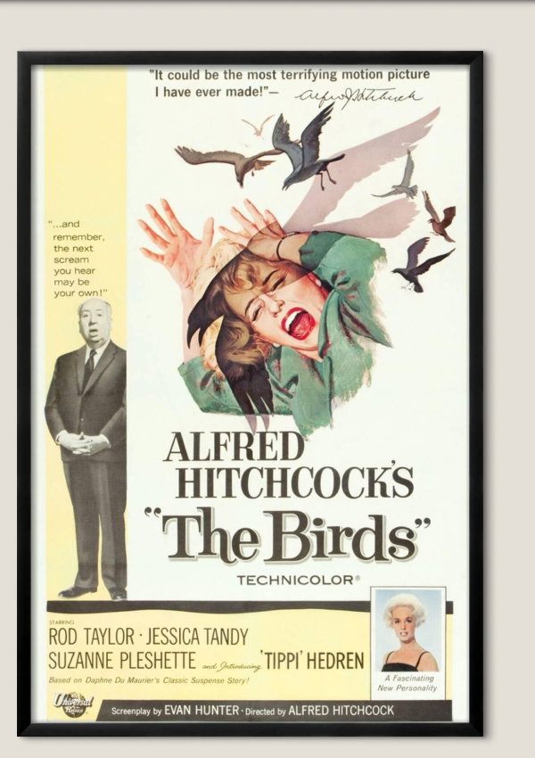 The Birds Alfred Hitchcock