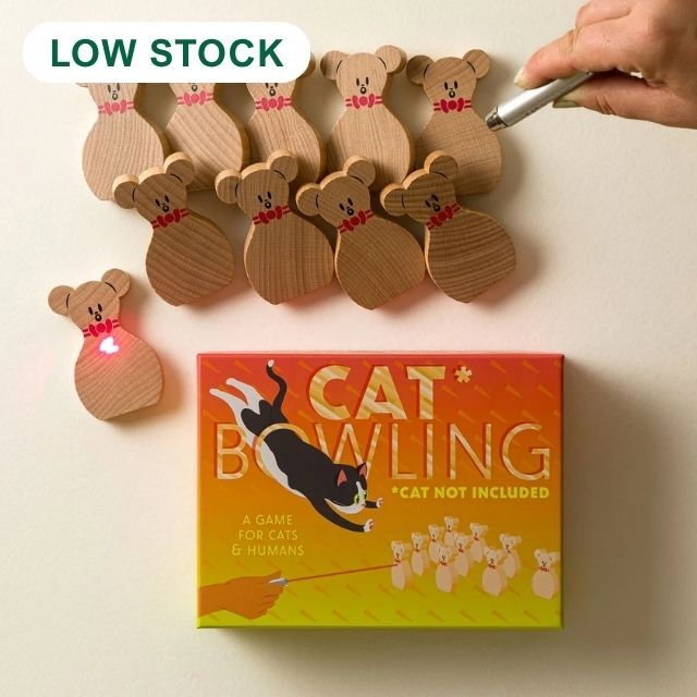 Cat Bowling