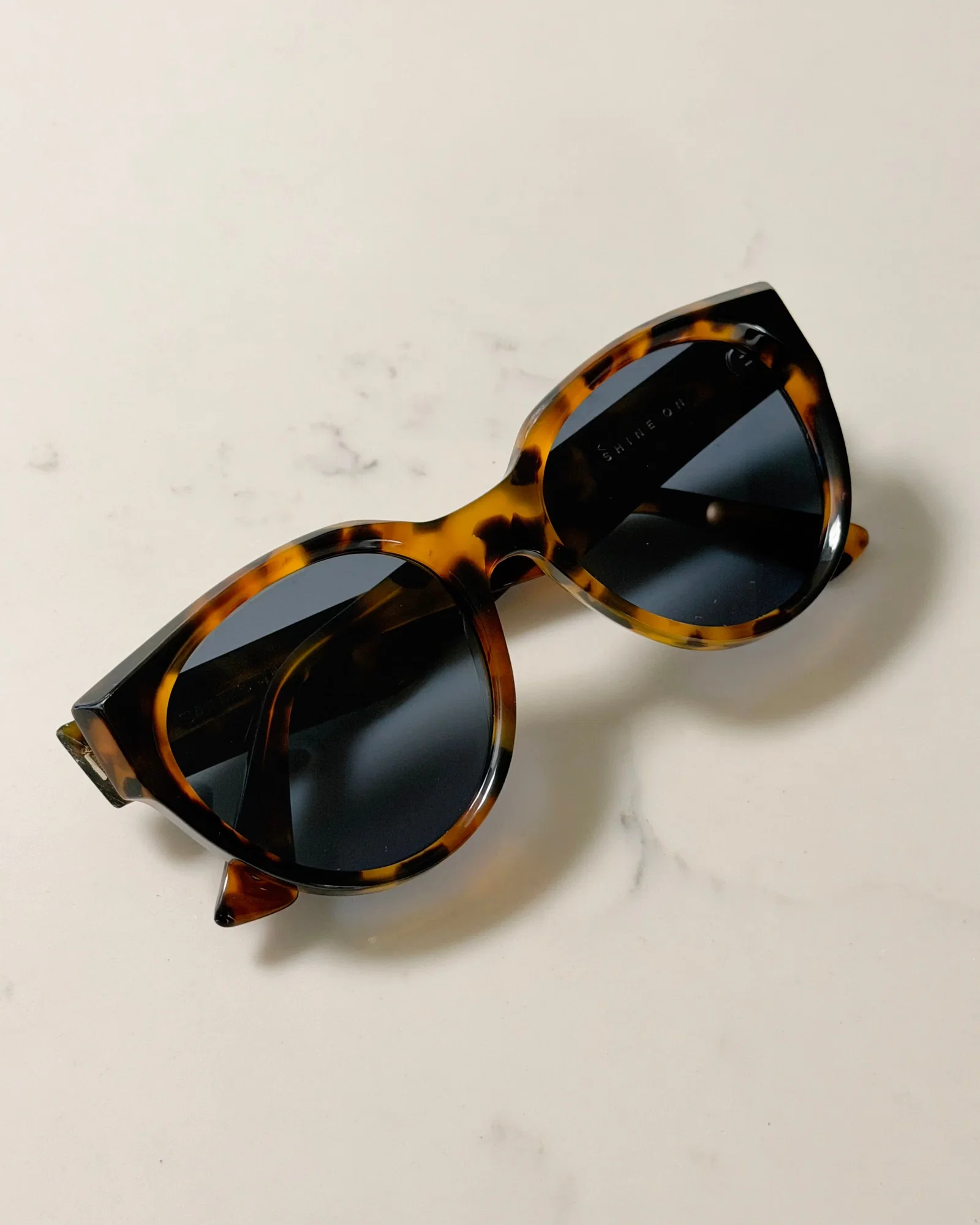 Image of SHINE ON tortoise | blue