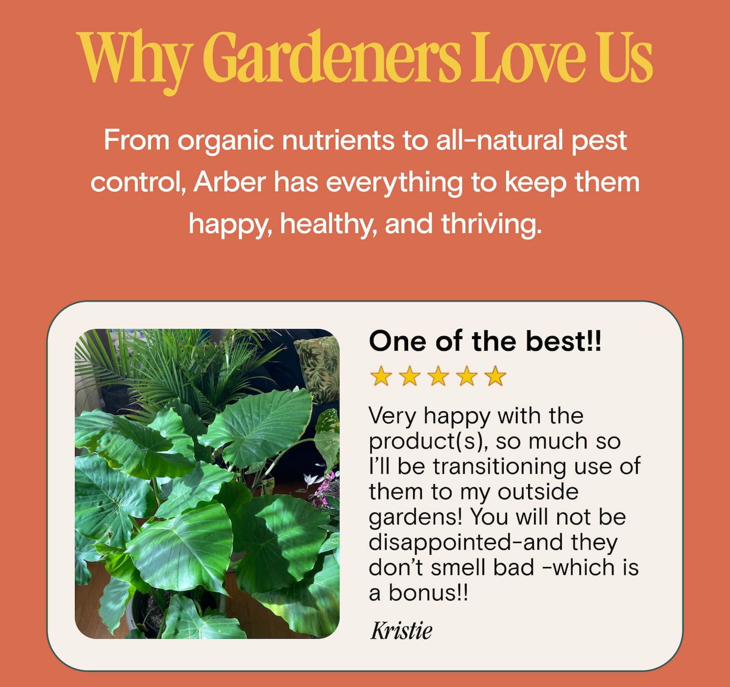 Why Gardeners Love the Garden Guru Bundle