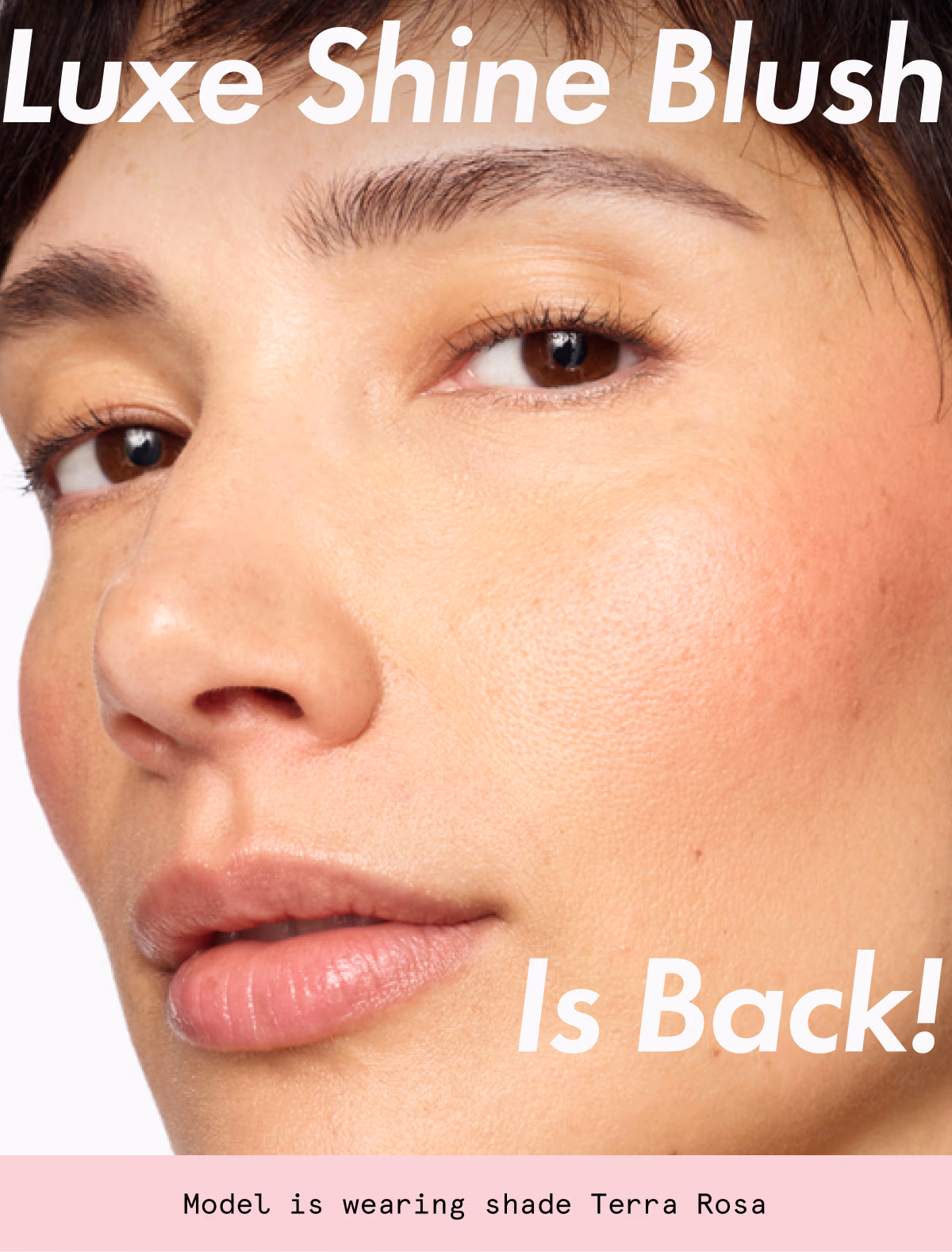 Luxe Shine Blush is Back! Close up of model