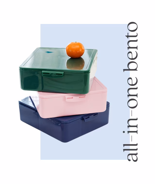 all in one bento
