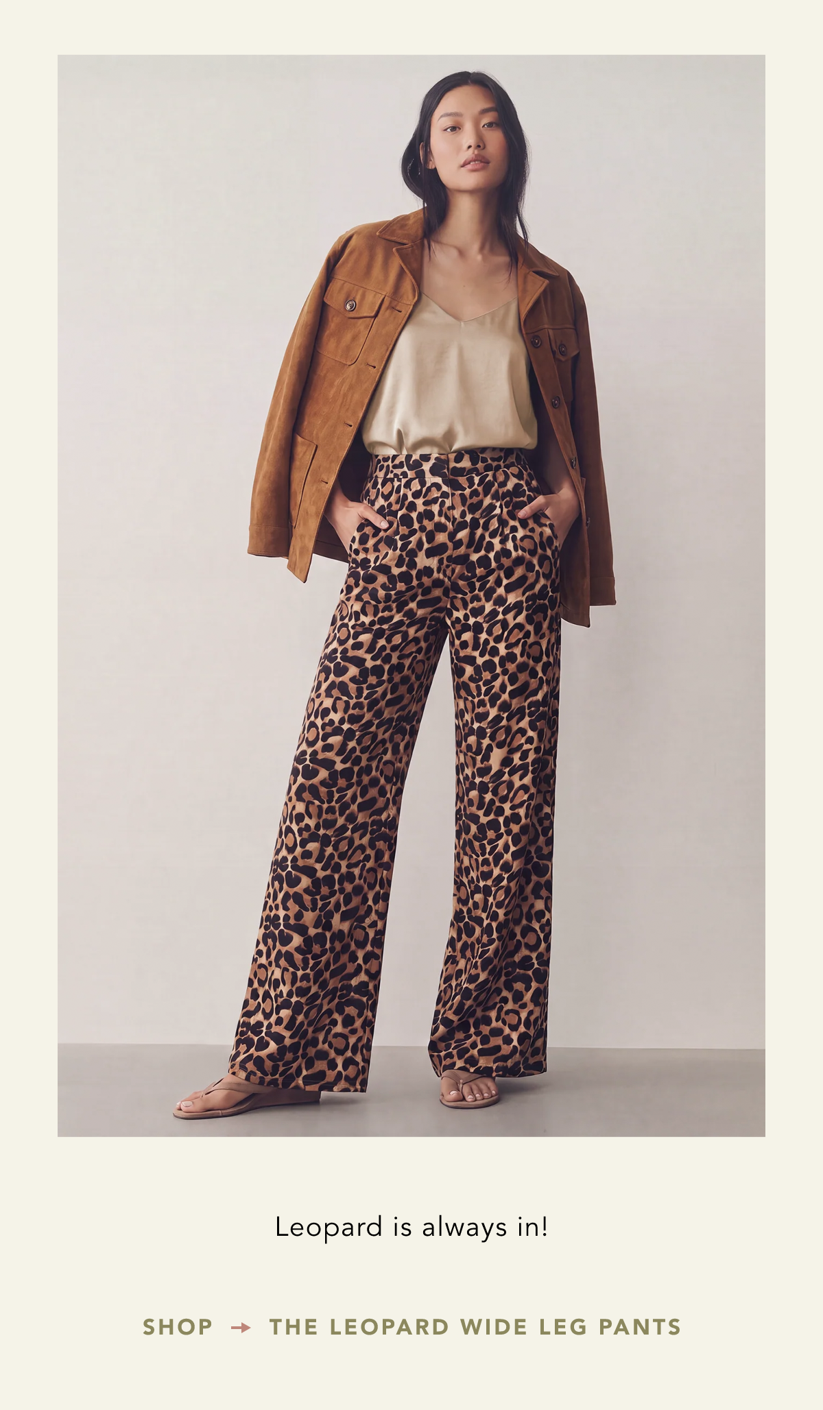 Animal Print Wide Leg Pants