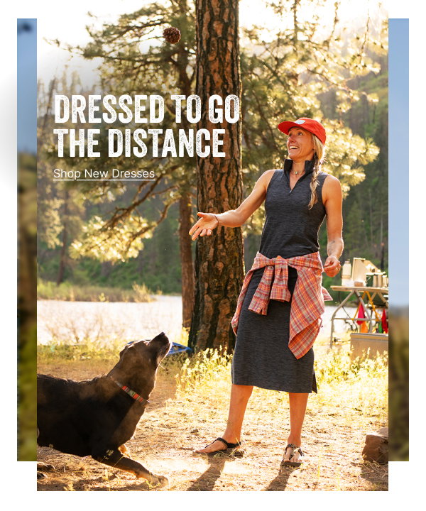 Shop New Dresses