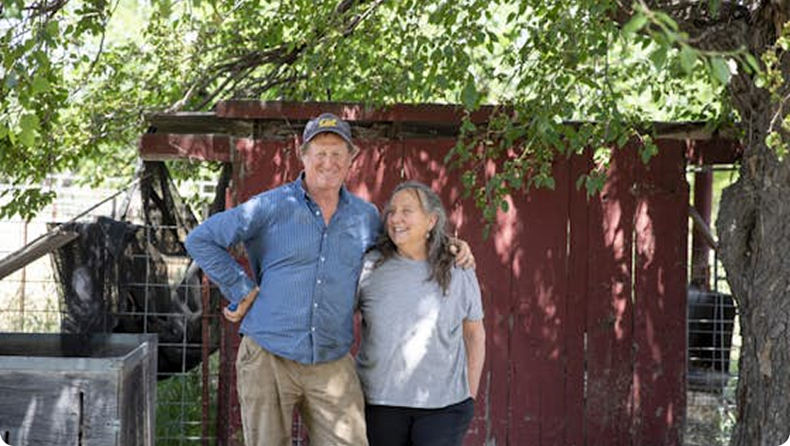 Full Belly Farm