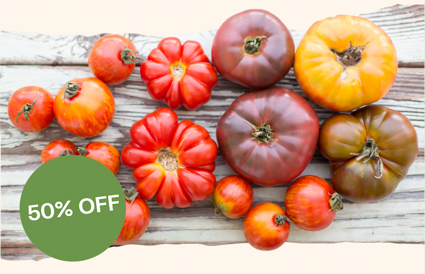 Peak Hierloom Tomatoes