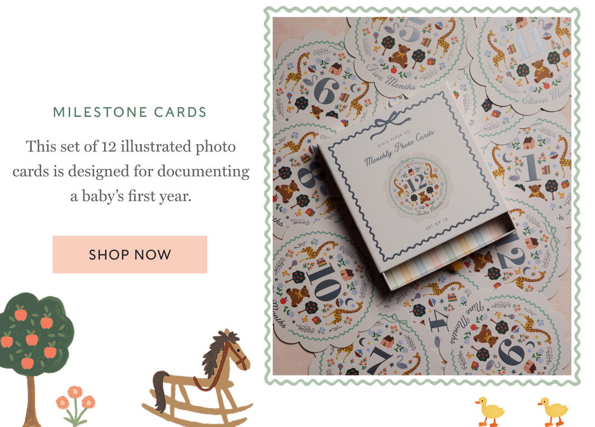 milestone cards This set of 12 illustrated photo cards is designed for documenting a baby’s first year. Shop Now