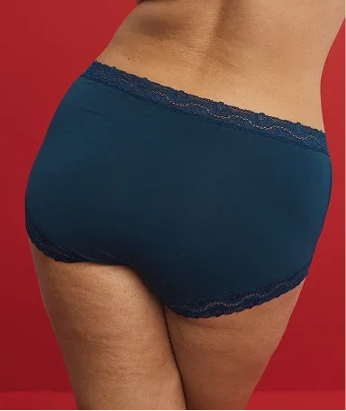 Full Brief Image