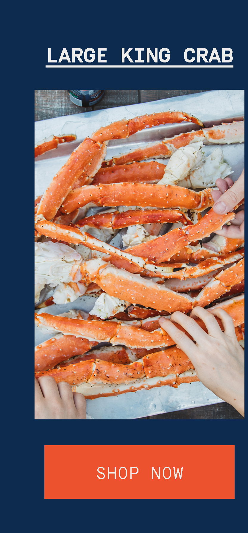 Shop Large King Crab Legs