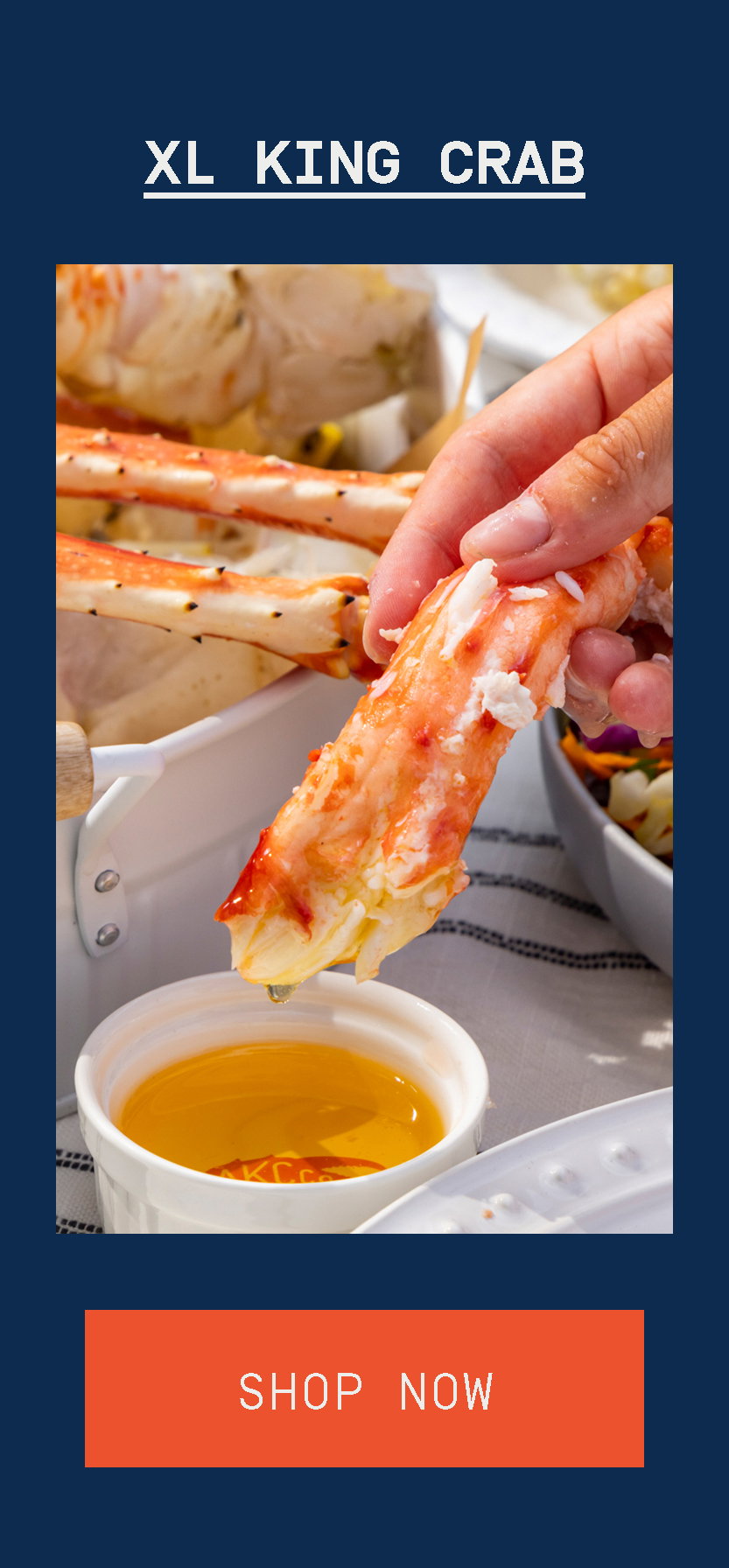 Shop XL King Crab