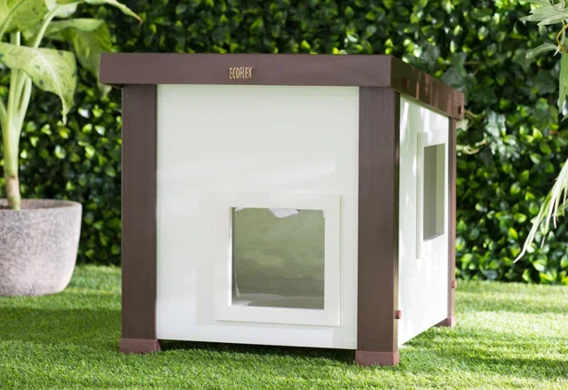 Cat Playpens We Love