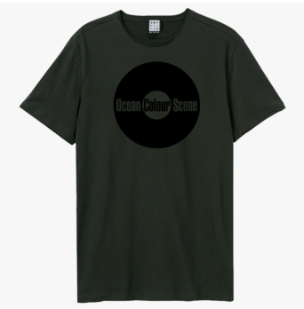 Ocean Colour Record