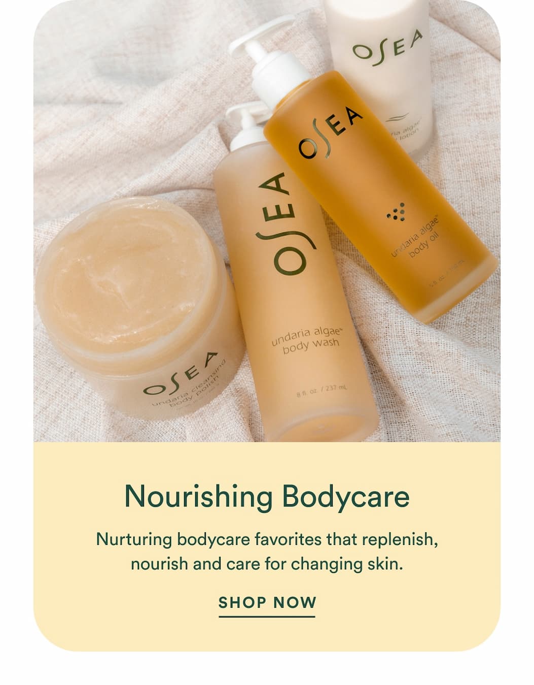 Nurturing bodycare favorites that replenish, nourish and care for changing skin.