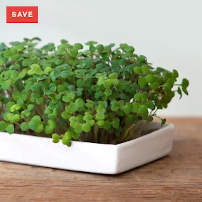 20% off MicroGarden
