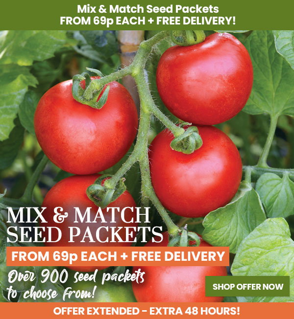 Seed Mix & Match
