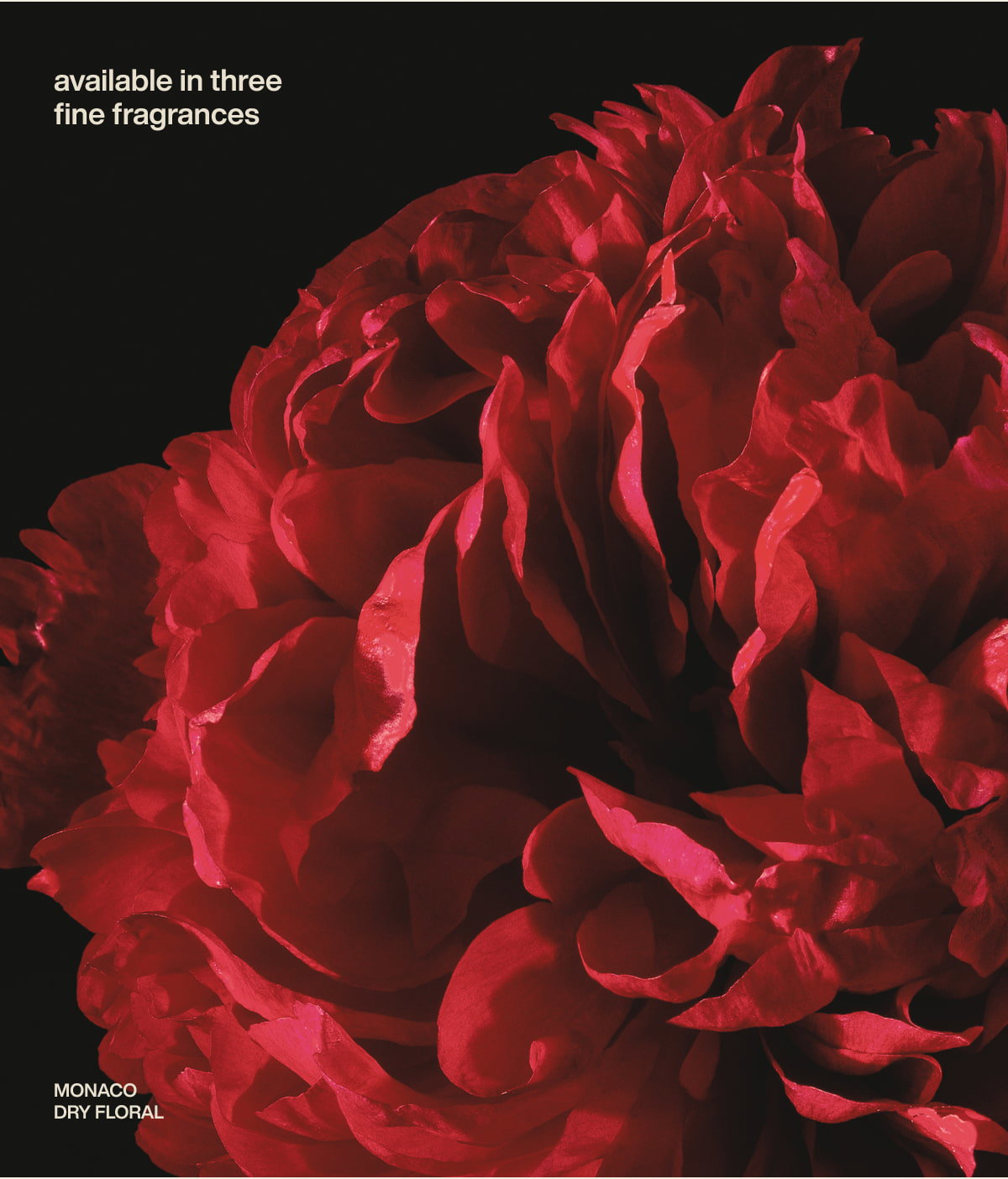 available in three fine fragrances | monaco | dry floral