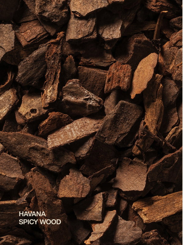 havana | spicy wood