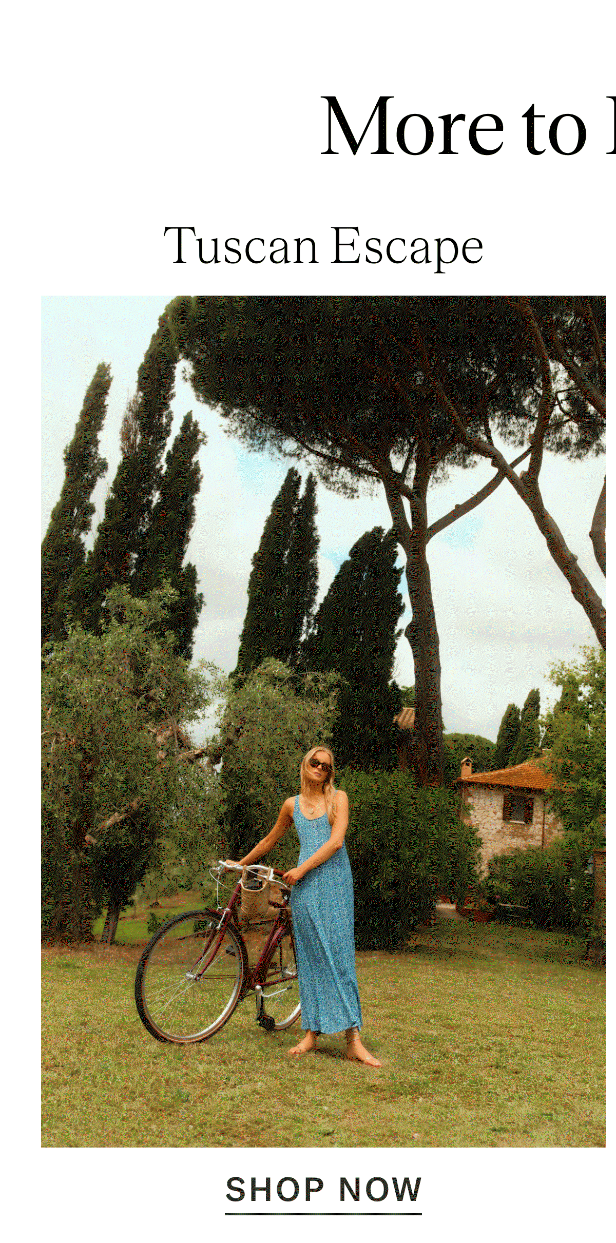 Tuscan Lifestyle Guide