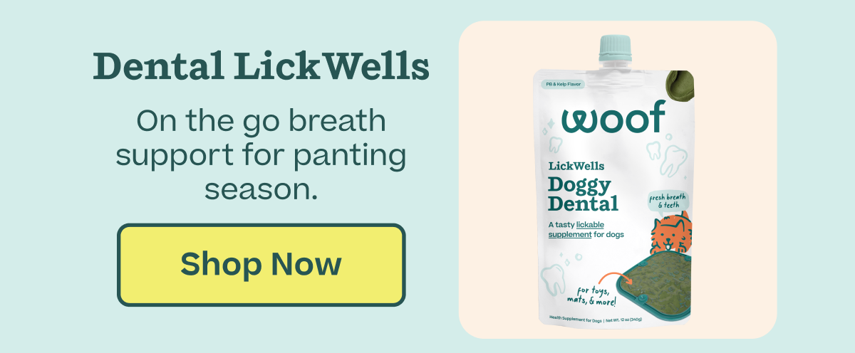 Shop 20% Doggy Dental LickWells