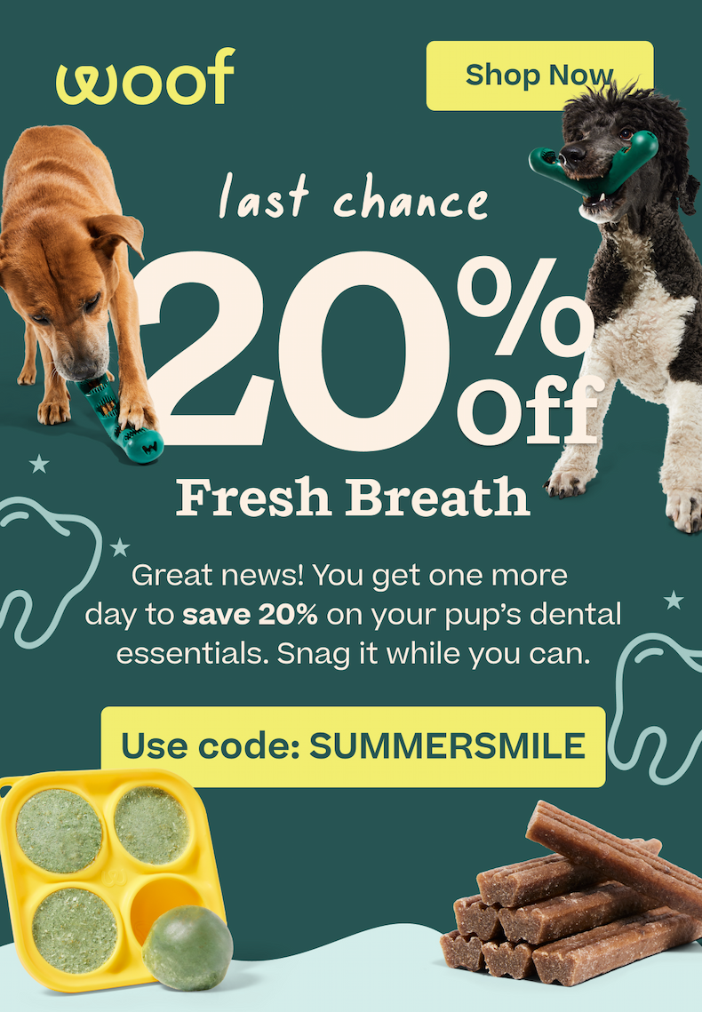 Shop 20% off Dental Must-haves