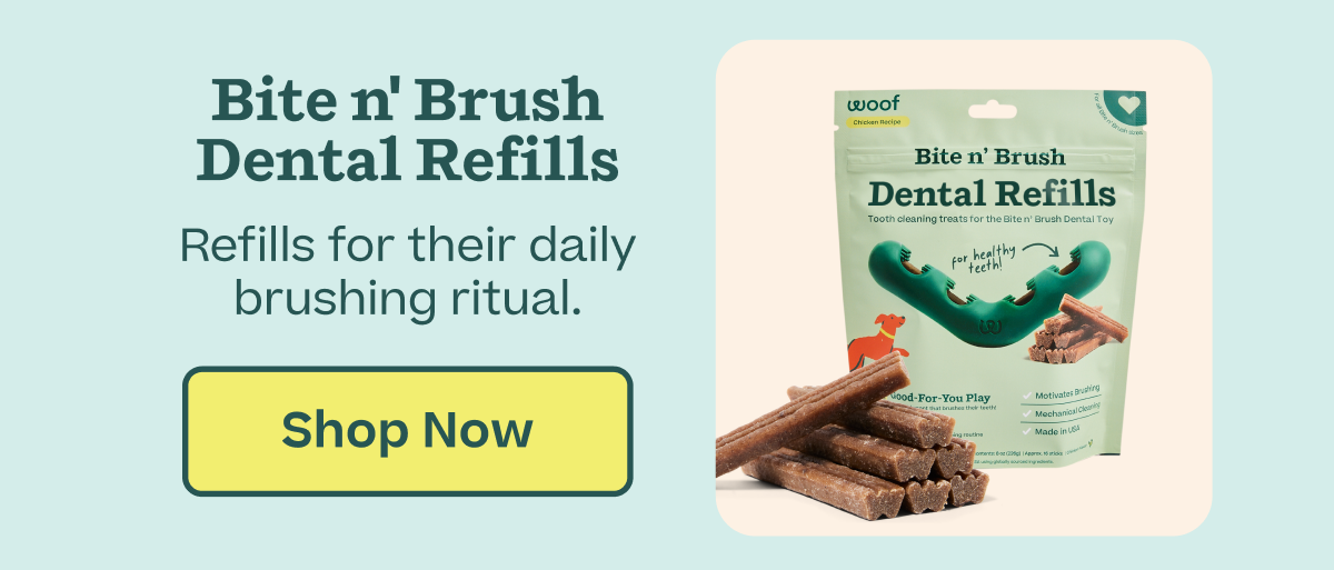 Shop 20% off Bite n' Brush Dental Refills