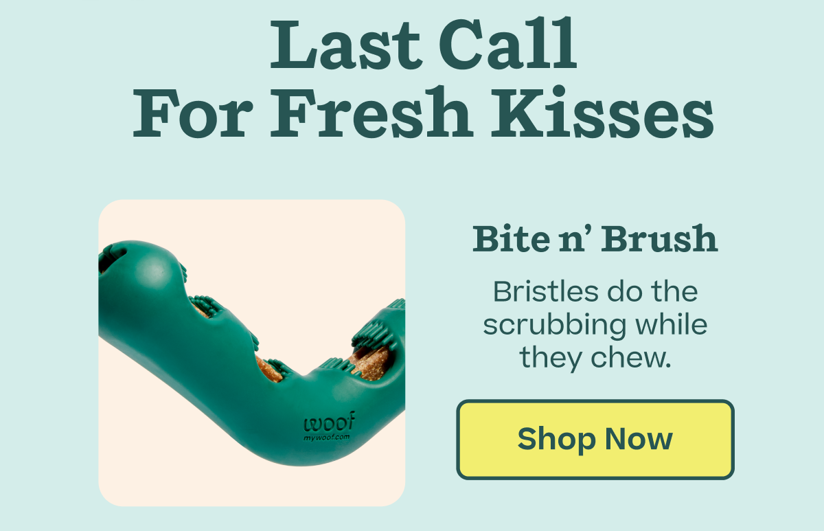 Shop 20% off Bite n' Brush