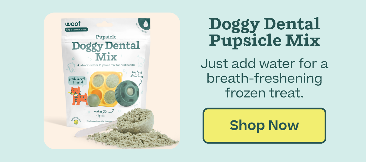 Shop 20% off Doggy Dental Pupsicle Mix