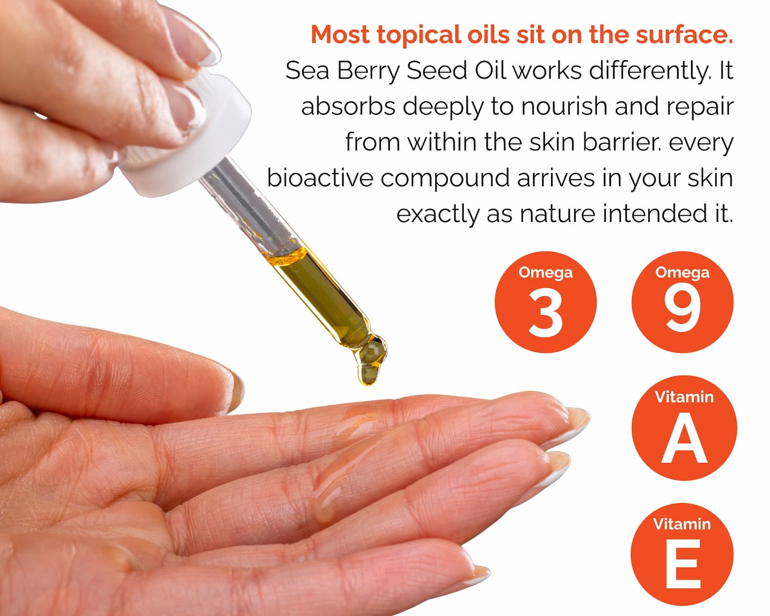 Seed Oil Nutrients