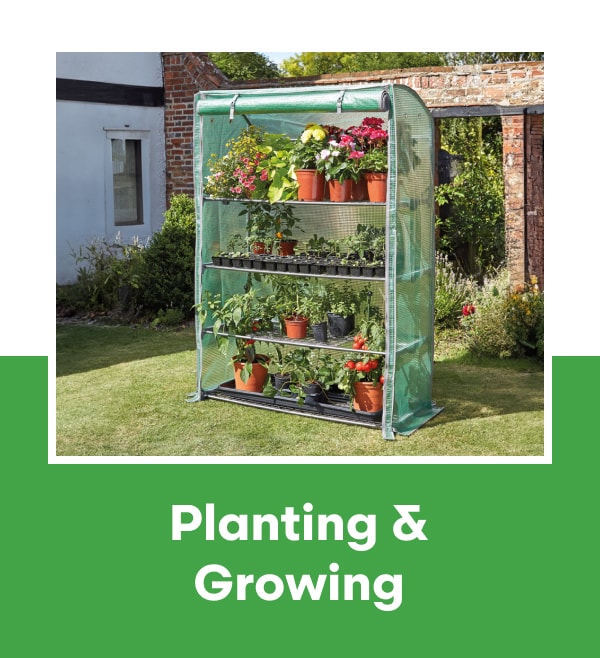 Planting & Growing 