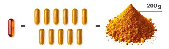 Curcuma