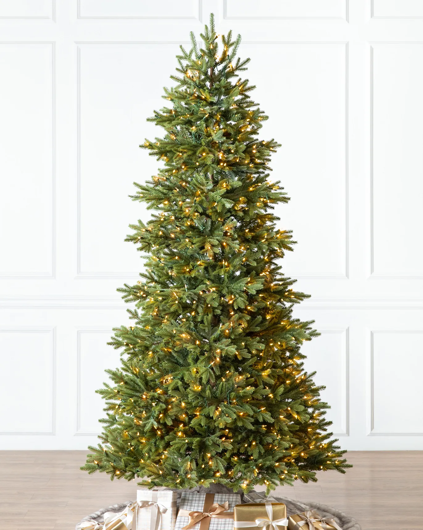 BH Norway Spruce Tree