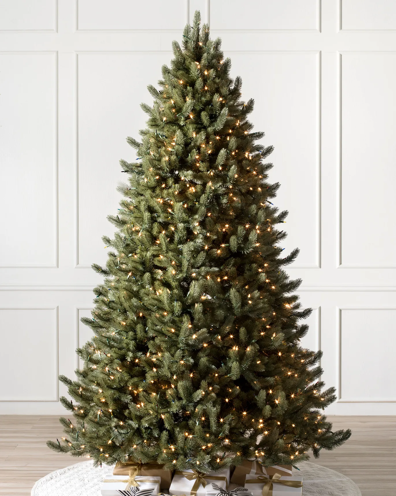 Vermont White Spruce Tree