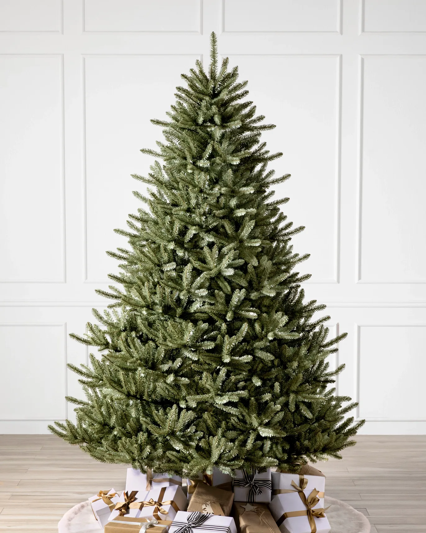 Canadian Blue Green Spruce Tree