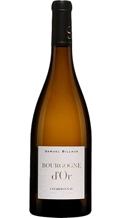 Domaine Samuel Billaud - Bourgogne d'Or 2022 - Bourgogne Blanc
