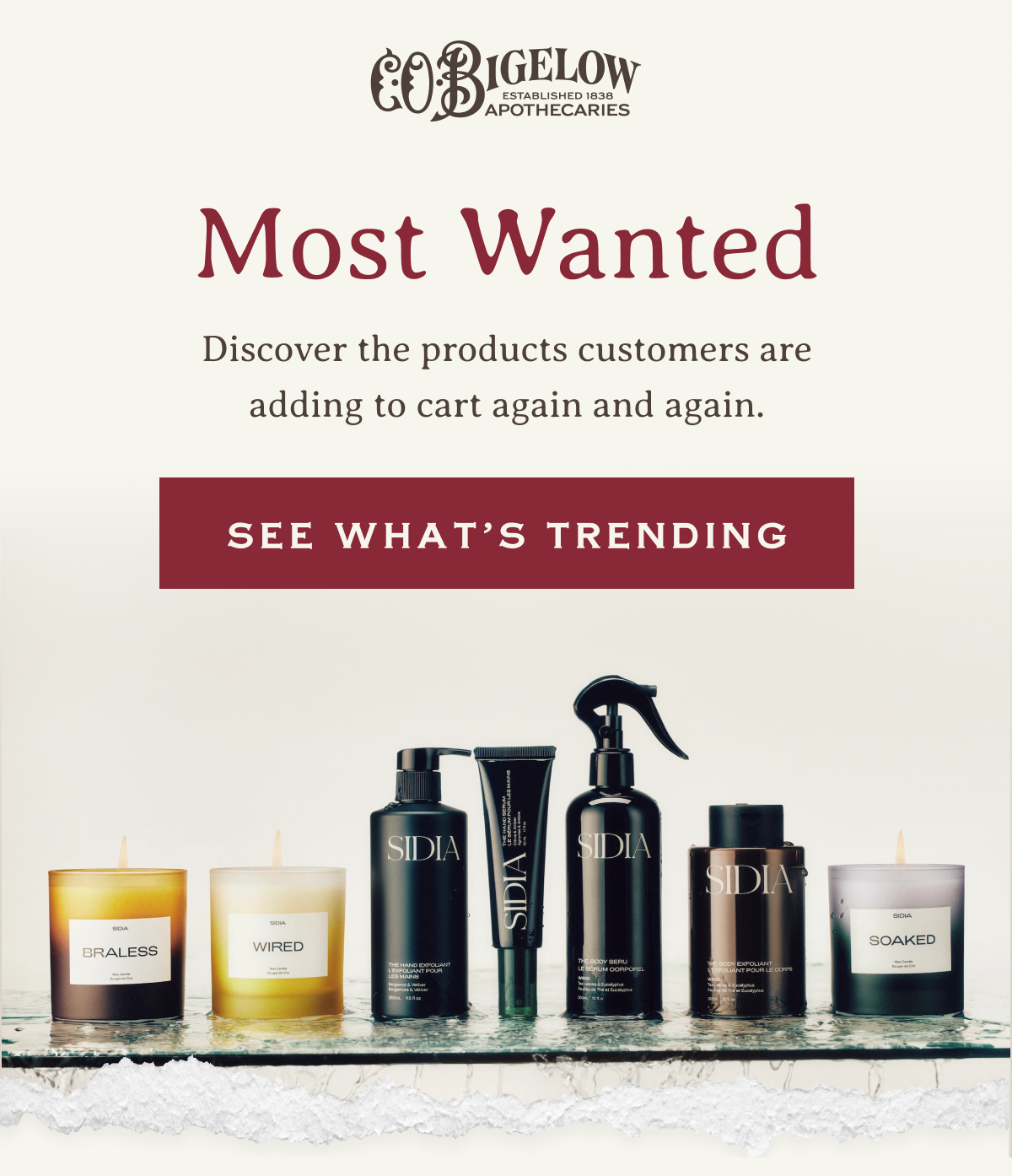 Most Wanted | Discover the products customers are adding to cart again and again. | SEE WHAT’S TRENDING 
