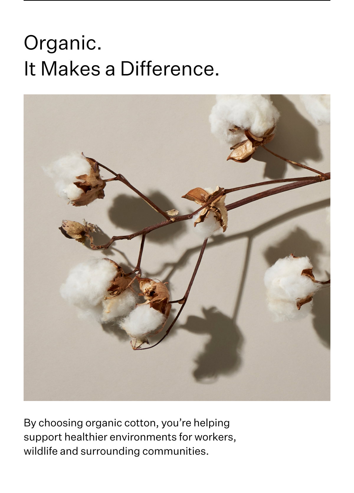 Organic. It Makes a Difference. By choosing organic cotton, you're helping support healthier environments for workers, wildlife and surrounding communities.