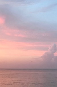 Shop the sunset shop