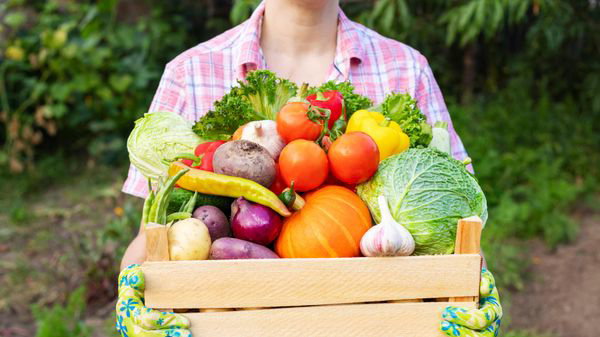 J'ai revendu mon surplus de fruits et de légumes, dois-je le déclarer au fisc?