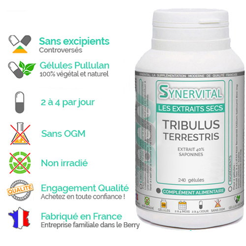 -20% sur le Tribulus Terrestris Synervital pour votre tonus !