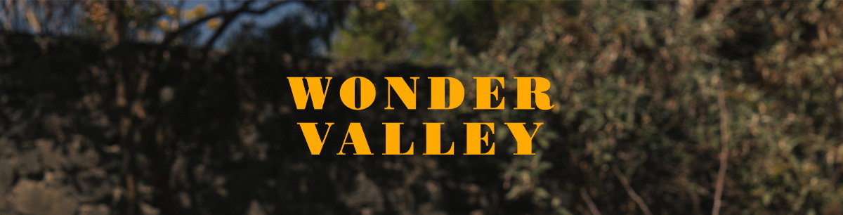 WONDER VALLEY