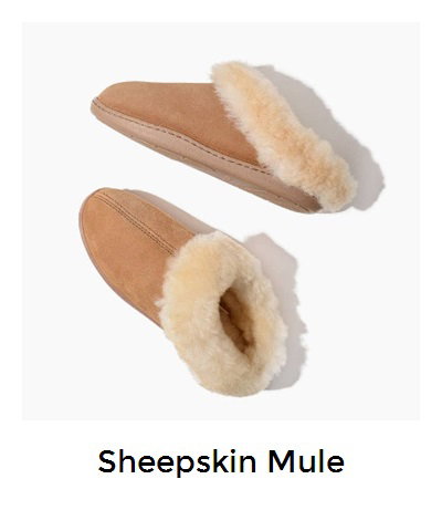 View product recommended for you