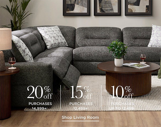 Shop Living Room