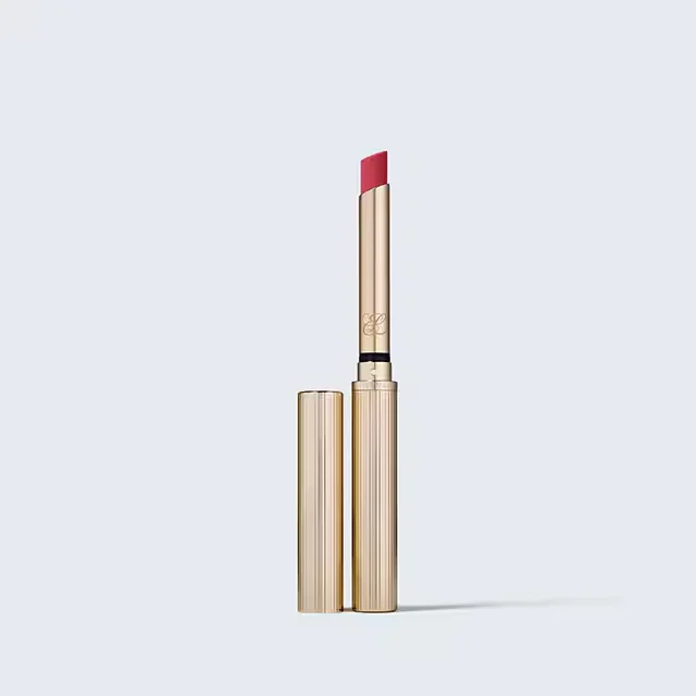 Pure Color Explicit Silk Matte Lipstick