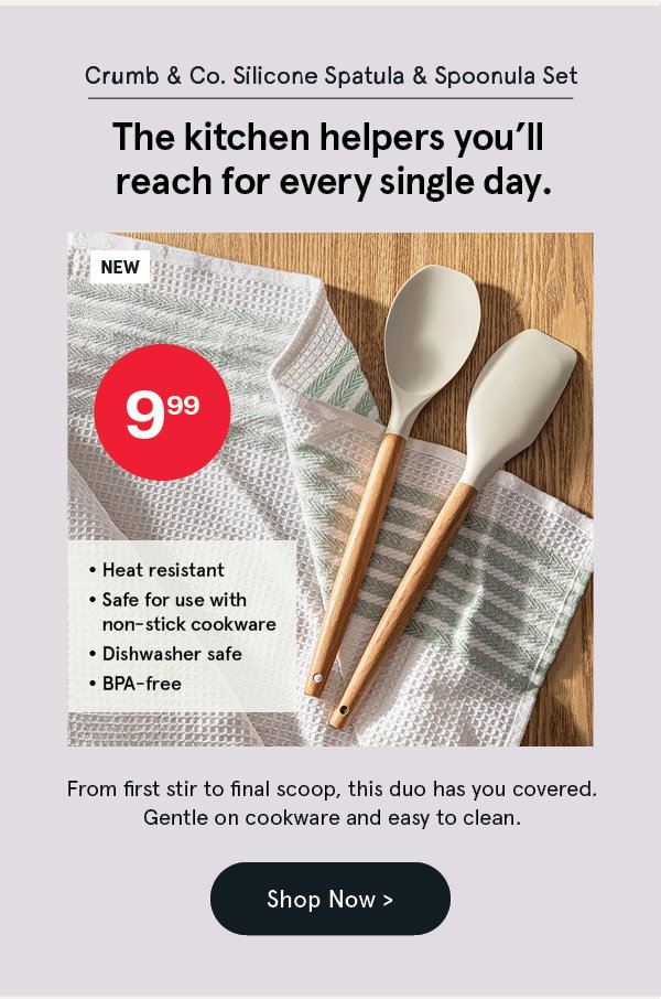 Crumb & Co. Silicone Spatula and Spoonula Set