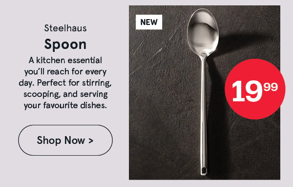 Steelhaus Solid Spoon