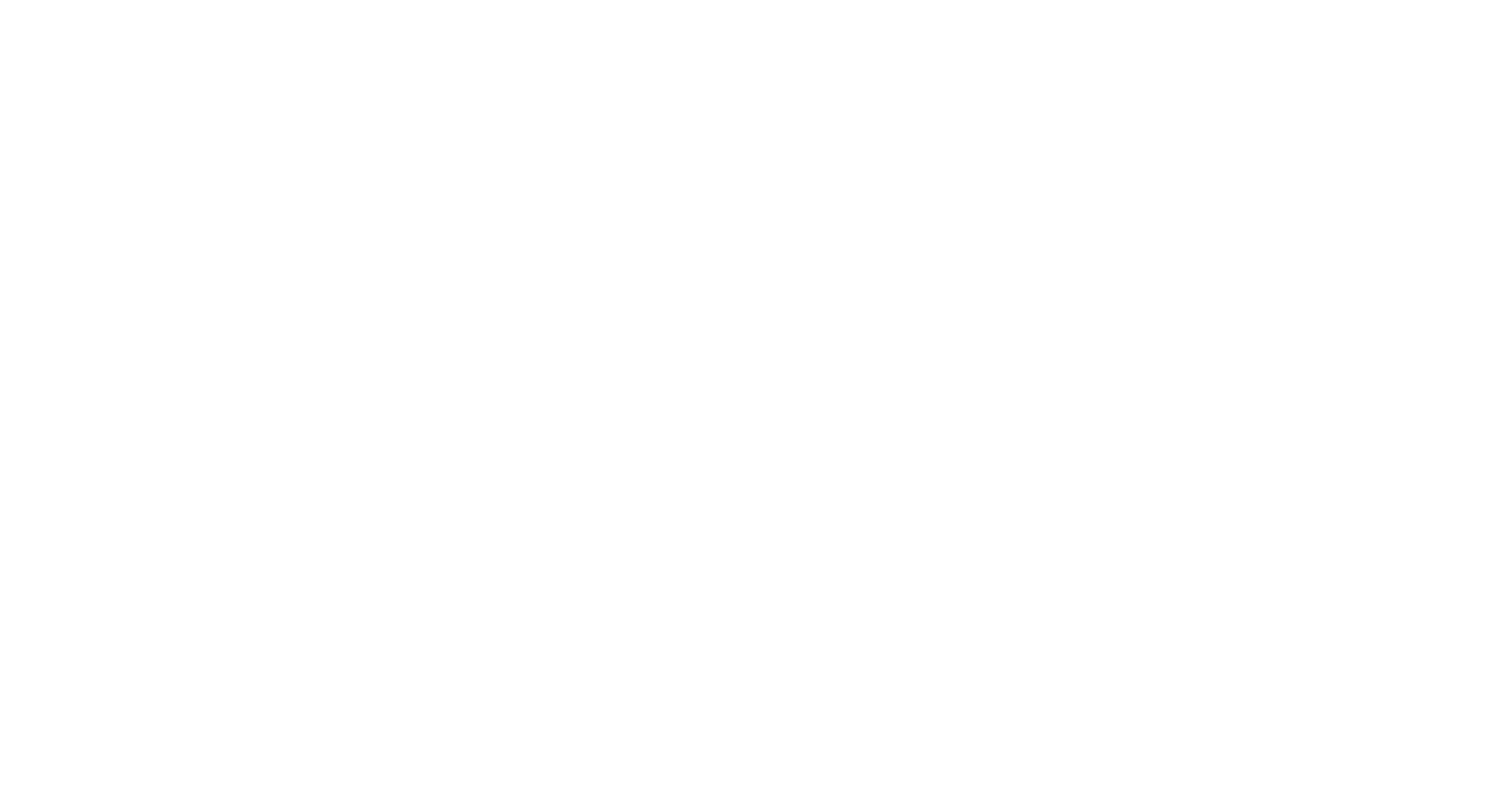 Everlast Logo